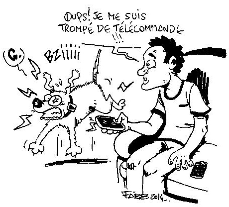 attention au collier électrique gag de Fabien Bachet FABB , Au Poil Dans Mes Pattes, éducateur canin Comportementaliste Rennes